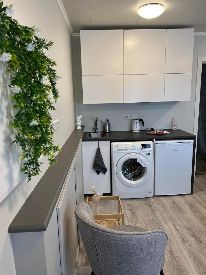Helena'S Studio, Reykjavik 104 Экстерьер фото